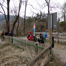 puliziaboschi-2