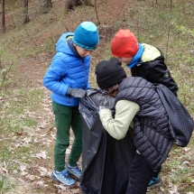 puliziaboschi-5