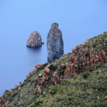 DSCN0570