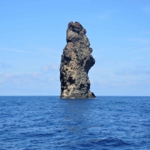 DSCN2736