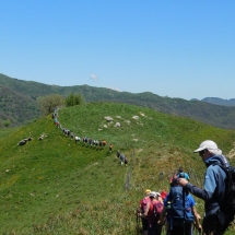 Sicilia_g3_05