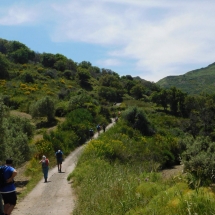 Sicilia_g5_10