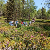 Untermooskopf-3