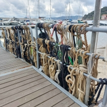 Elba_4maggio-1