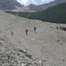Signore-15 Signore-15