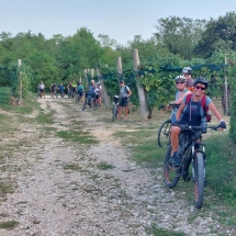 Prosecco_g1-7