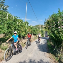 Prosecco_g1-8