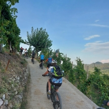 Prosecco_g1-9
