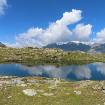 Maler_08 Maler_08