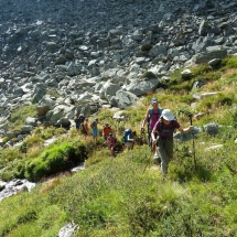Maler_11 Maler_11
